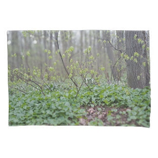 Housse D'oreillers Photographie de la nature du sol de la forêt des C