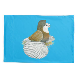 Housse D'oreillers Pigeon trompette AOC
