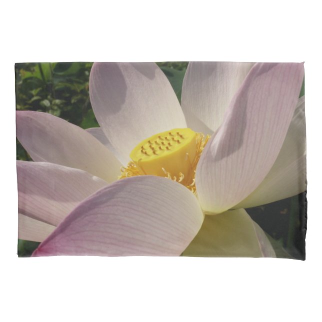 Housse D'oreillers Pink Lotus Flower III Summer Floral (devant)