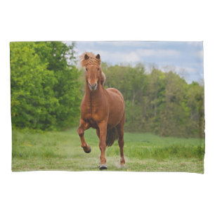 Housse D'oreillers Poney islandais aux amants drôles d'un cheval de