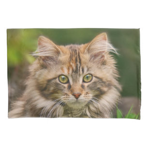 Housse D'oreillers Portrait de chat de chat mignon Maine Coon - Couve