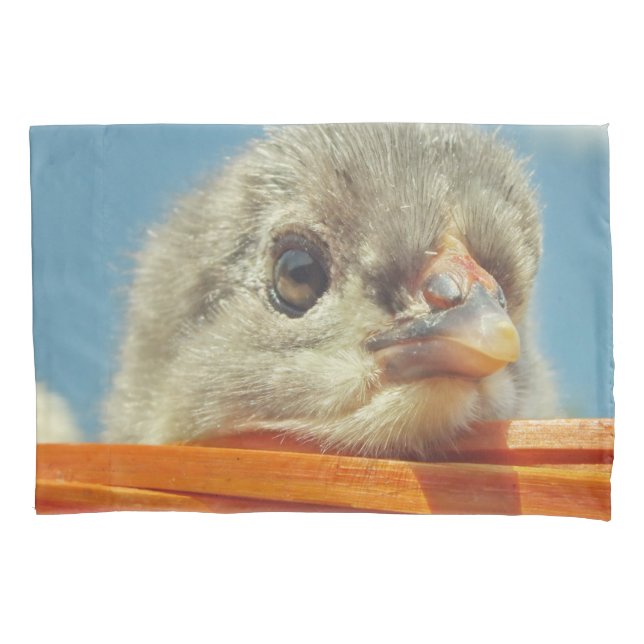 Housse D'oreillers poussins pour bébés (devant)