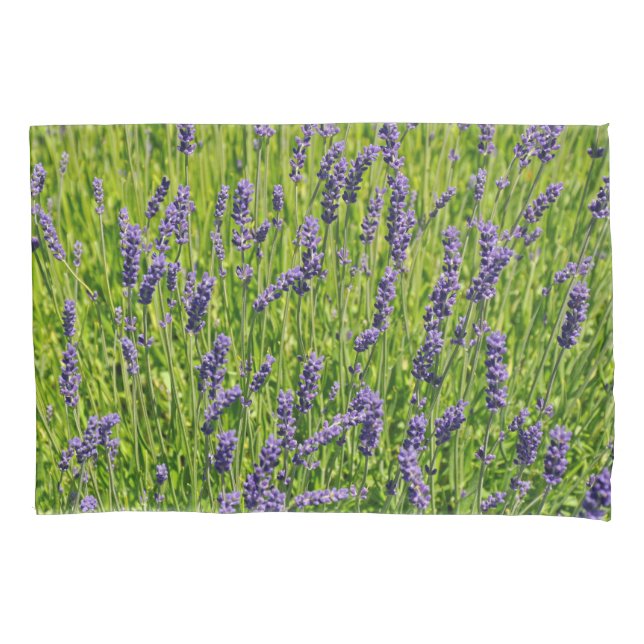 Housse D'oreillers prairie de fleurs de lavande violette (devant)