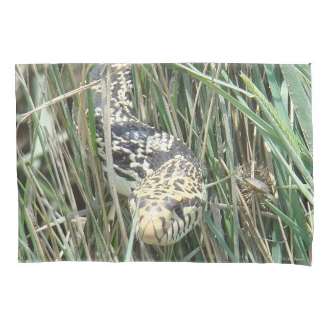 Housse D'oreillers R4 Couleuvre gophère dans l'herbe (devant)