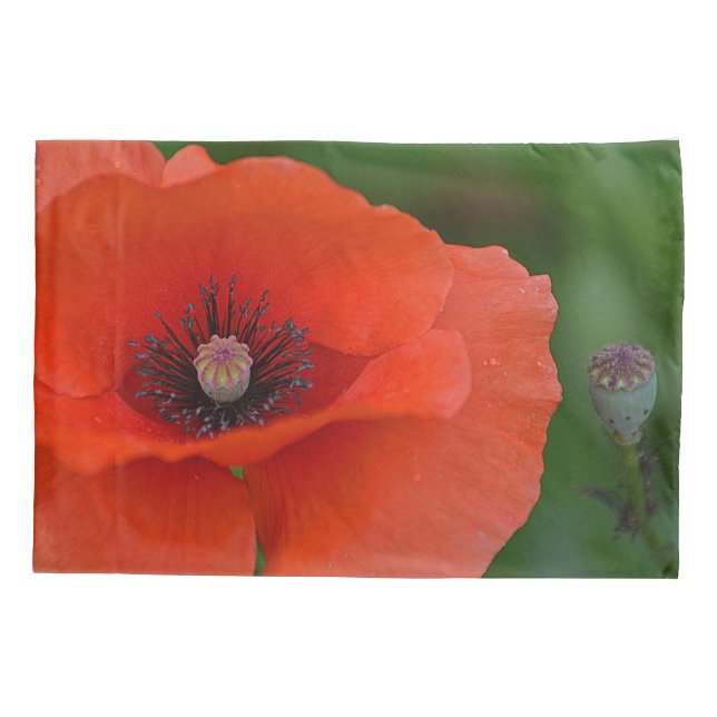 Housse D'oreillers Red Poppy (Dos)