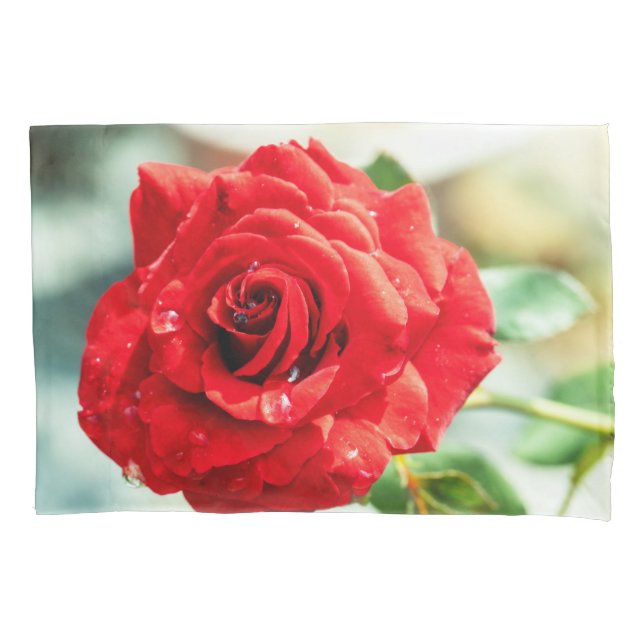 Housse D'oreillers Red rose flower (devant)