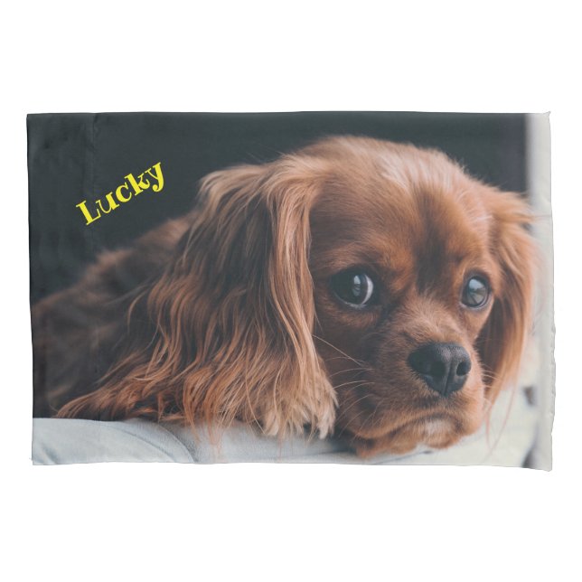 Housse D'oreillers Ruby Cavalier King Charles Spaniel Chien (devant)