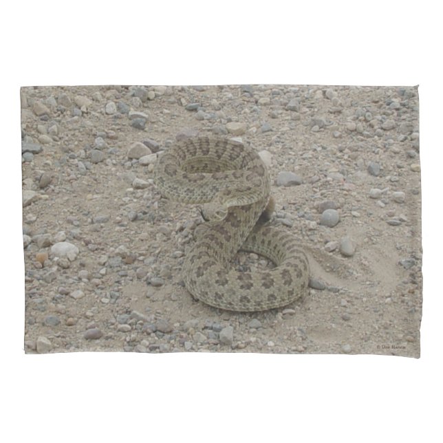 Housse D'oreillers Serpent à sonnette de prairie R9 enroulé (devant)