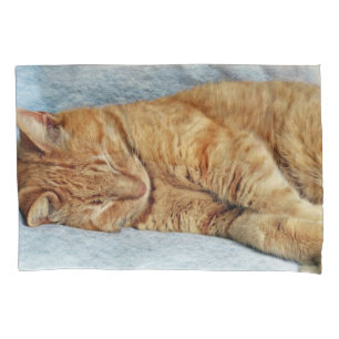 Housse D'oreillers Sleepy Kitty