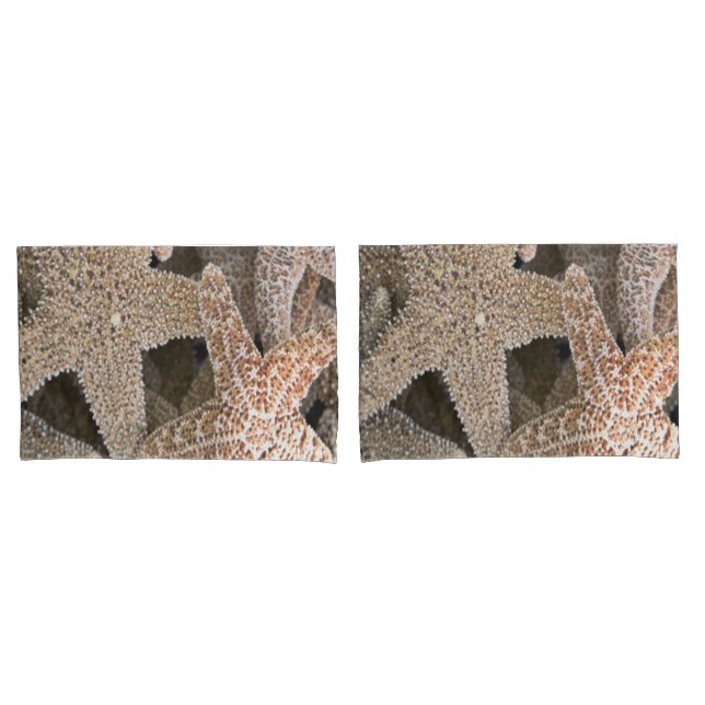 Housse D'oreillers Starfish partout (devant-Set)