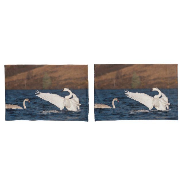 Housse D'oreillers Swan (devant-Set)