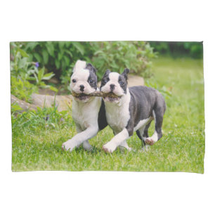 Housse D'oreillers Sympa drôles Boston Terrier chiens chiots jouer -
