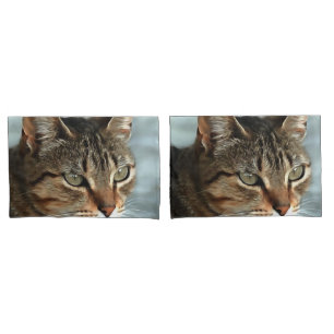 Housse D'oreillers Tabby Cat étonnant FermerPortrait Artistique