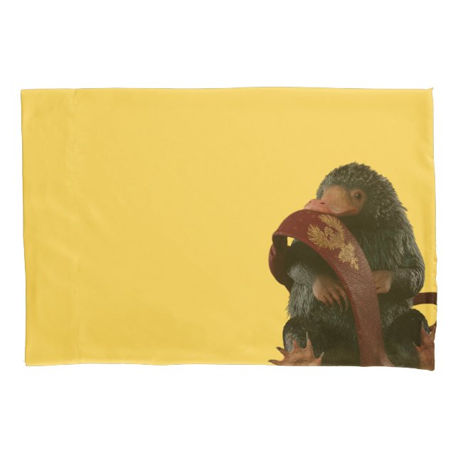 Housse D'oreillers Teddy Avec Cravate Graphique (devant)