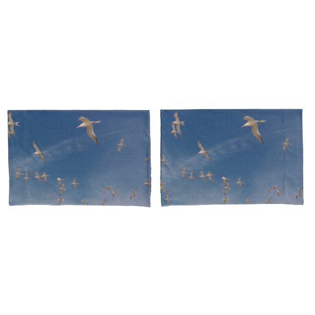 Housse D'oreillers Terres (devant-Set)