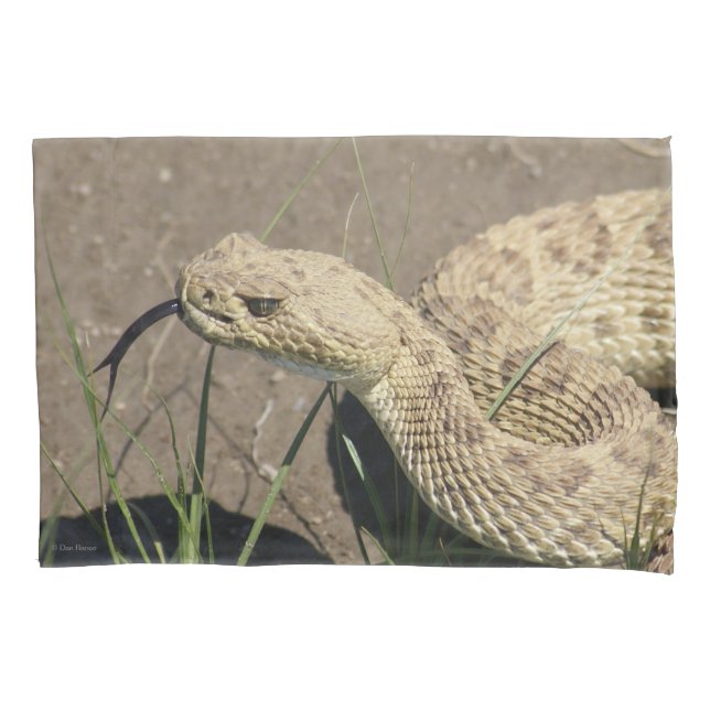 Housse D'oreillers Tête de serpent à sonnette de la prairie R8 (devant)