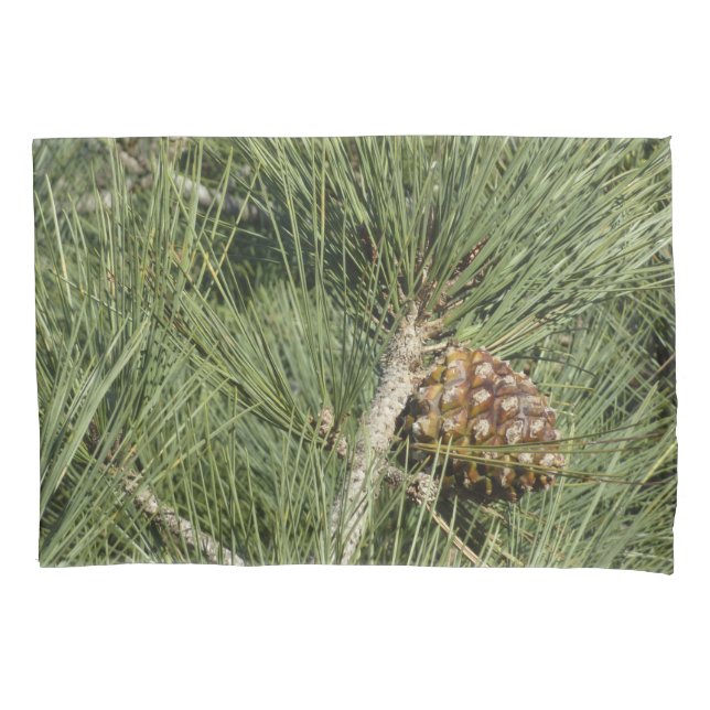 Housse D'oreillers Torrey Pine Closeup California Botanical (devant)