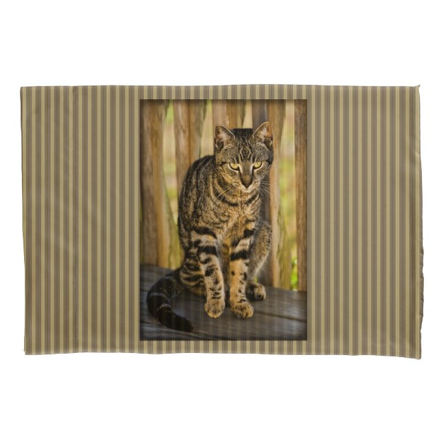 Housse D'oreillers Tortoiseshell Cat Portrait, Closeuse Animal Photo (devant)