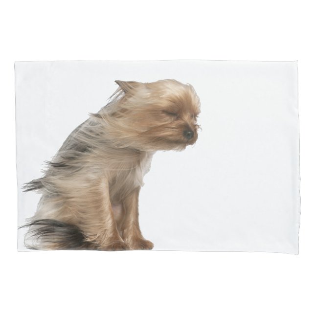 Housse D'oreillers Yorkshire Terrier aux cheveux dans le vent (devant)