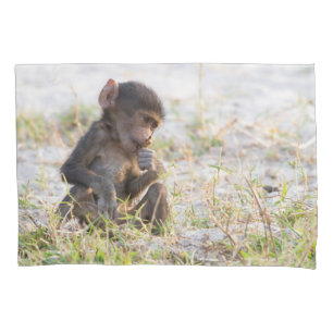 Housse D'oreillers Young Baboon