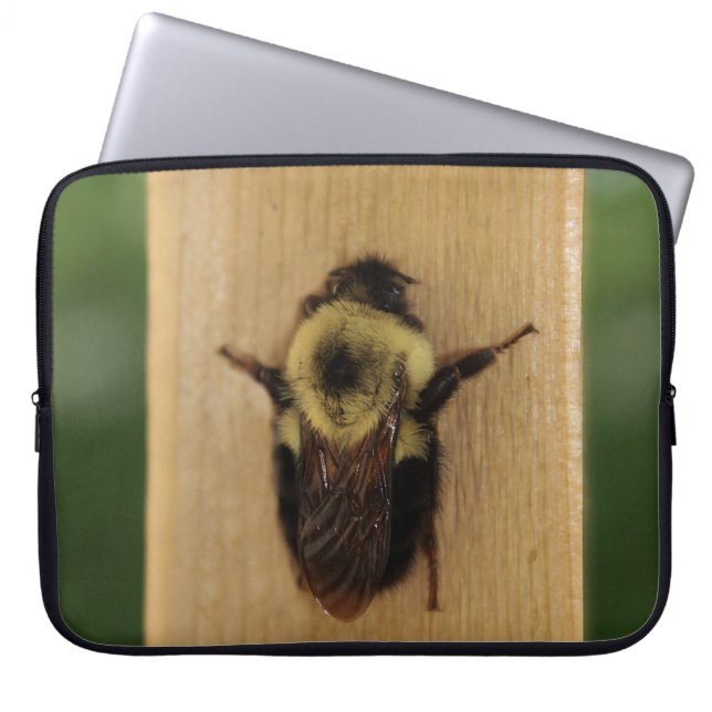 Housse Pour Ordinateur Portable Abeille-zilla (Devant)