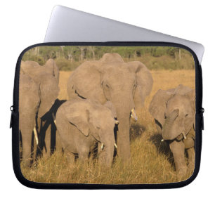 Housse Pour Ordinateur Portable Afrique, Kenya, Masai Mara. Éléphant d'Afrique