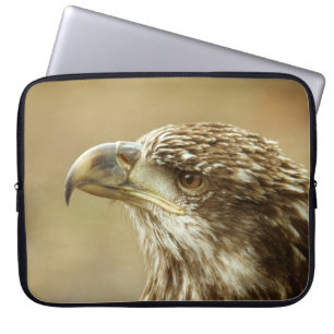 Housse Pour Ordinateur Portable Aigle à tête blanche immature