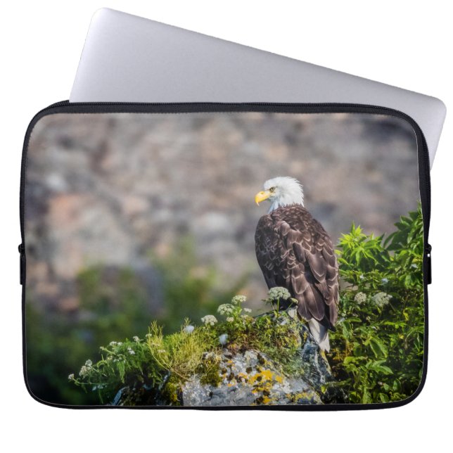 Housse Pour Ordinateur Portable Aigle bald assis sur le rocher (Devant)
