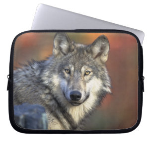 Housse Pour Ordinateur Portable Amateurs de faune du loup gris