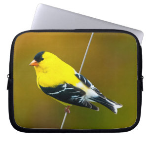 Housse Pour Ordinateur Portable American Goldfinch - Photo originale