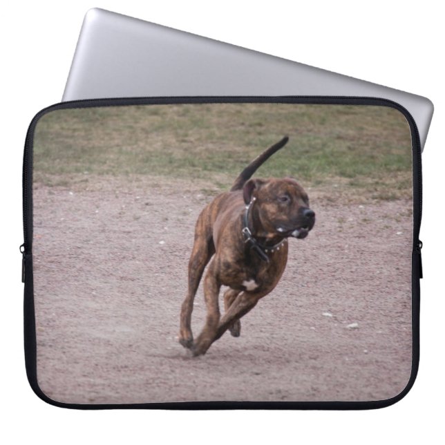 Housse Pour Ordinateur Portable Amstaff en cours (Devant)