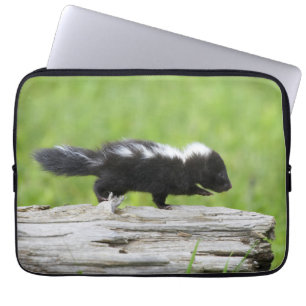Housse Pour Ordinateur Portable Animaux de bébés cutest   Bébé Skunk