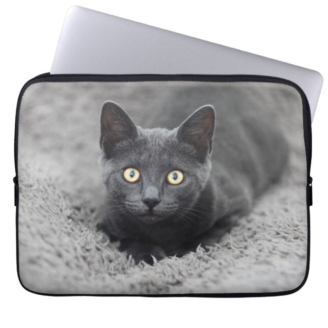 Housse Pour Ordinateur Portable Animaux de bébés cutest | Chat gris (Devant)