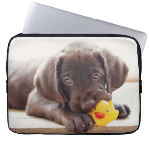 Housse Pour Ordinateur Portable Animaux de bébés cutest   Chocolat Labrador Puppy