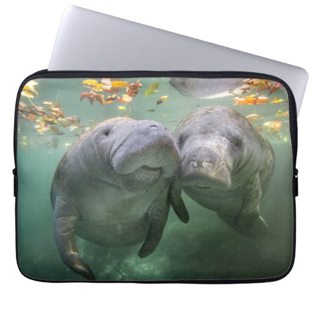 Housse Pour Ordinateur Portable Animaux de bébés cutest | Deux Manatees (Devant)