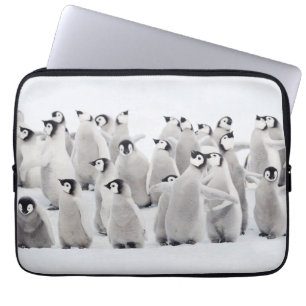 Housse Pour Ordinateur Portable Animaux de bébés cutest Empereur Penguin Chicks