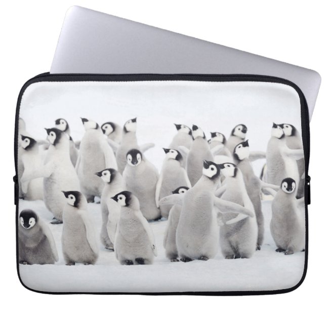 Housse Pour Ordinateur Portable Animaux de bébés cutest | Empereur Penguin Chicks (Devant)