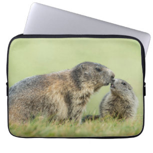Housse Pour Ordinateur Portable Animaux de bébés cutest   Famille des marmottes al
