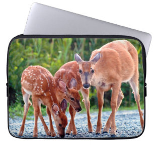 Housse Pour Ordinateur Portable Animaux de bébés cutest   Fawn with Babies