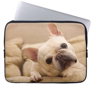 Housse Pour Ordinateur Portable Animaux de bébés cutest French Bulldog Head Tilt