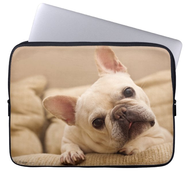 Housse Pour Ordinateur Portable Animaux de bébés cutest | French Bulldog Head Tilt (Devant)