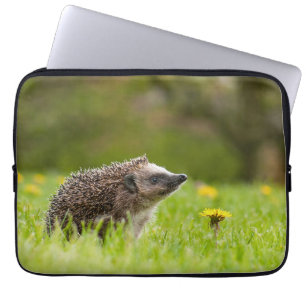 Housse Pour Ordinateur Portable Animaux de bébés cutest Hérisson européen