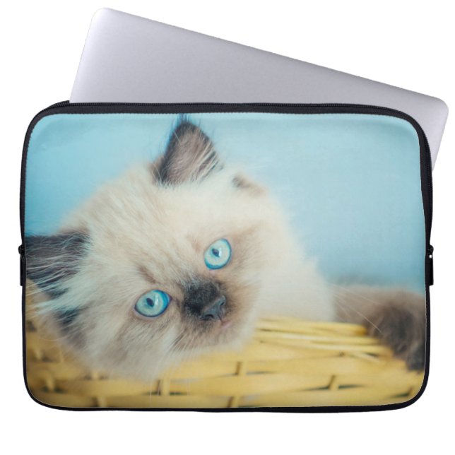 Housse Pour Ordinateur Portable Animaux de bébés cutest | Himalaya Seal Point Cat (Devant)