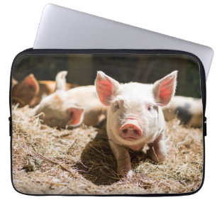 Housse Pour Ordinateur Portable Animaux de bébés cutest   Piglet bébé mignon