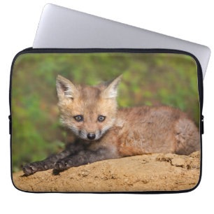 Housse Pour Ordinateur Portable Animaux de bébés cutest   Red Fox Pup