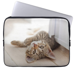 Housse Pour Ordinateur Portable Animaux de bébés cutest   Shorthair Tabby Kitten