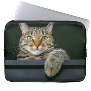 Housse Pour Ordinateur Portable Animaux de bébés cutest   Tête de chat gris Tabby