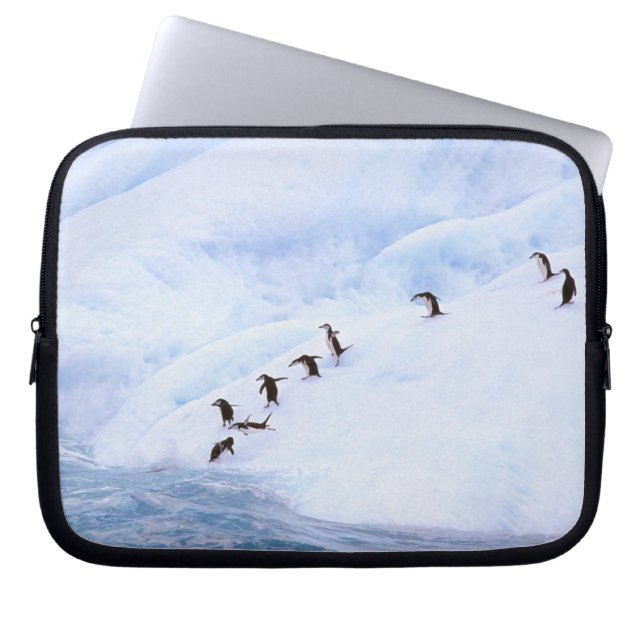 Housse Pour Ordinateur Portable Antarctique, péninsule Antarctique. Gorfous (Devant)