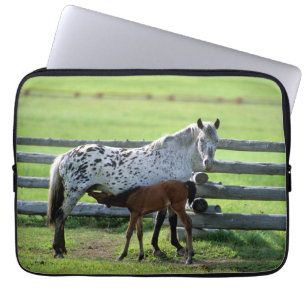 Housse Pour Ordinateur Portable Appaloosa Mare and Colt Horse