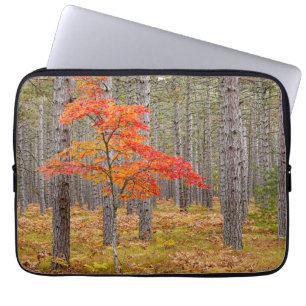 Housse Pour Ordinateur Portable Arbre à érable avec couleurs d'automne